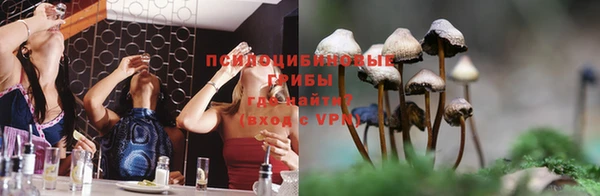 каннабис Белокуриха