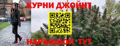 крисы Малоярославец