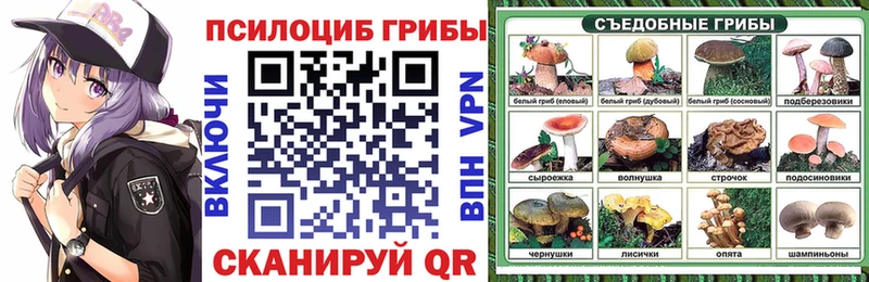 как найти закладки Волжск даркнет Telegram Галлюциногенные грибы прущие грибы гидра