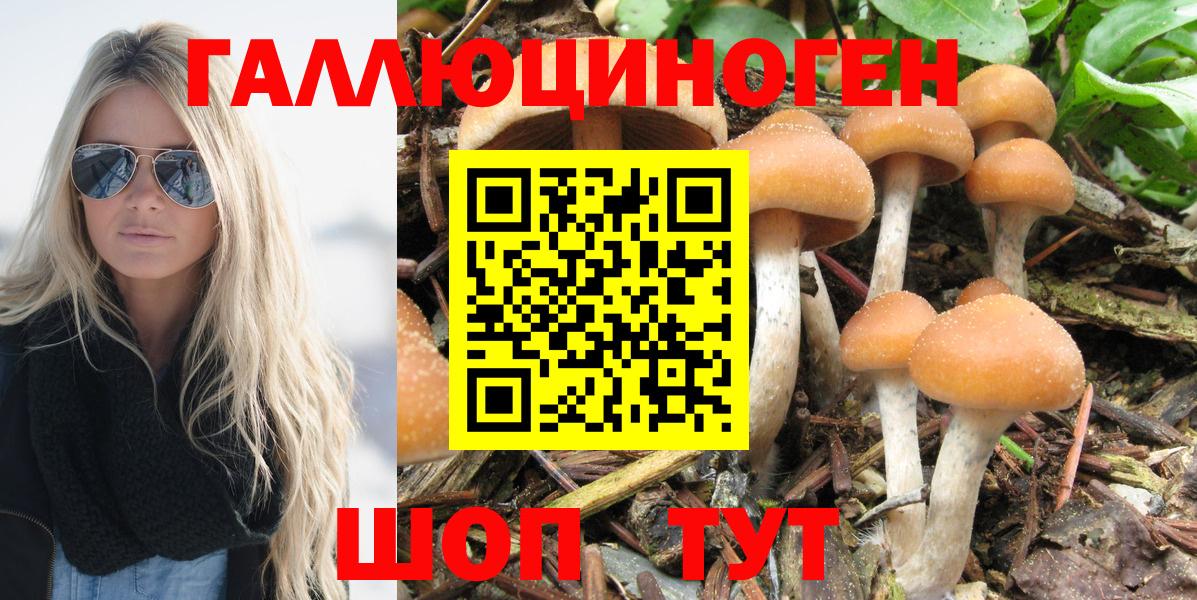 Галлюциногенные грибы Cubensis Волжск